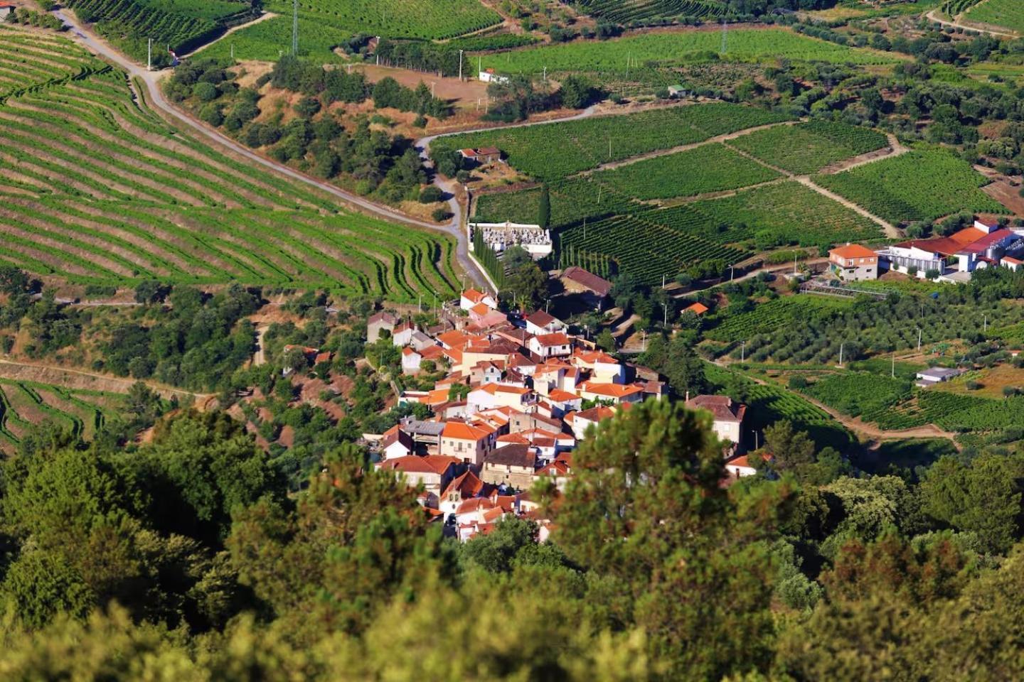 Babhouse Casa Das Abelhas - Coracao Do Douro São João da Pesqueira Exteriör bild